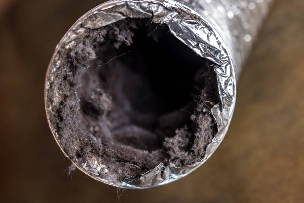 Best Ductwork Cleaning Services  in Chester, NY